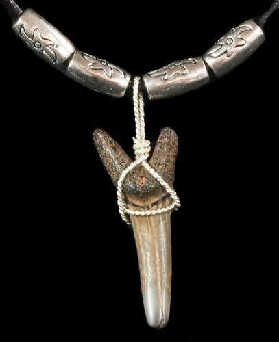 Fossil Sand Tiger Shark Tooth Necklace #47585